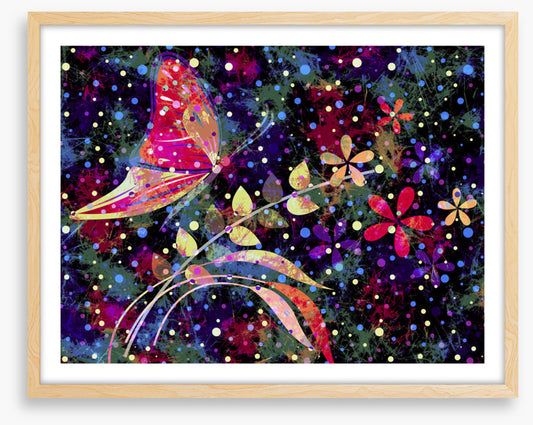 Starry night flight