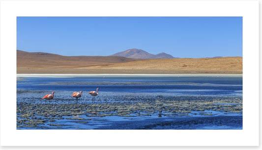 South America