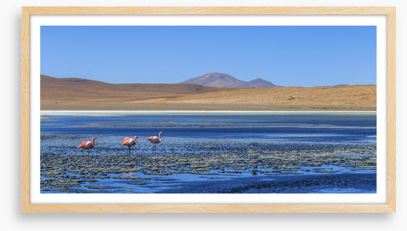 South America