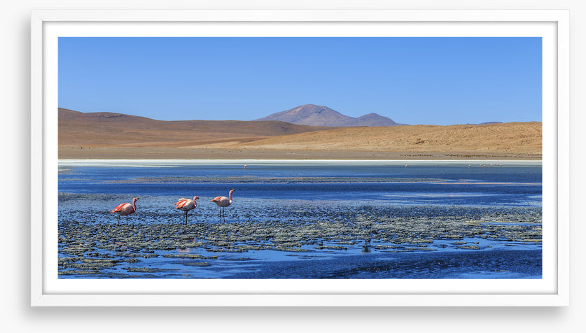 South America
