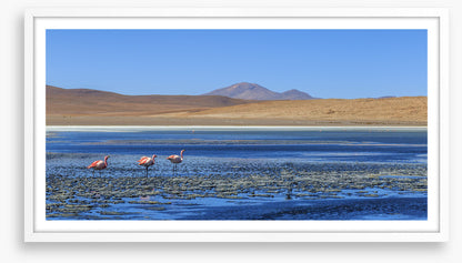 South America