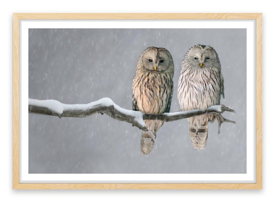 Together in the snow