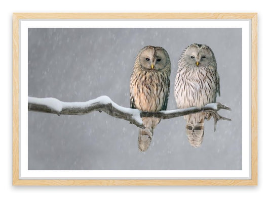 Together in the snow