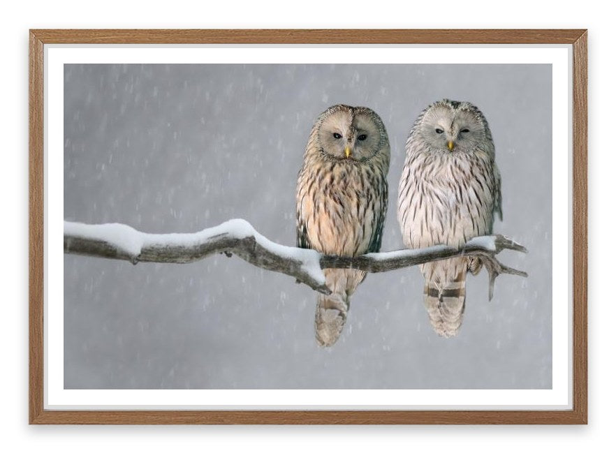 Together in the snow