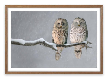 Together in the snow
