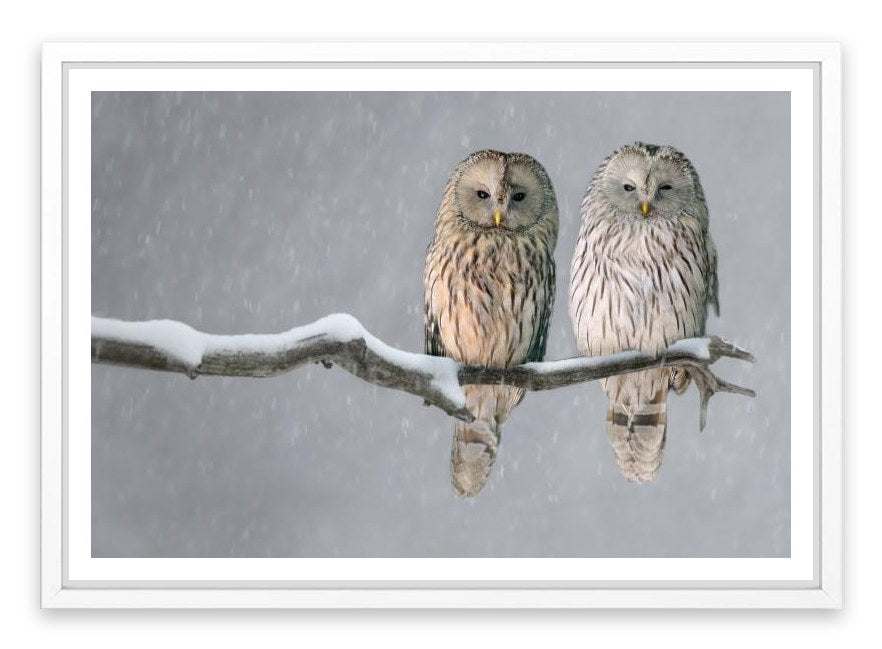 Together in the snow