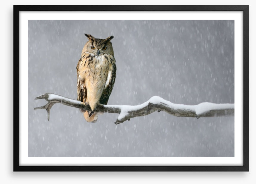 Alone in the snow