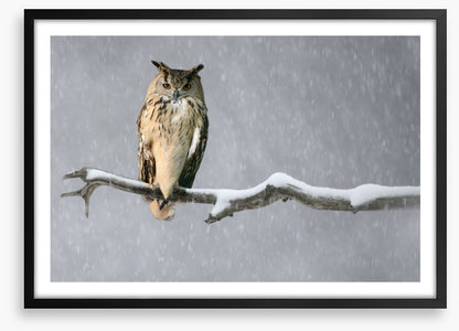 Alone in the snow