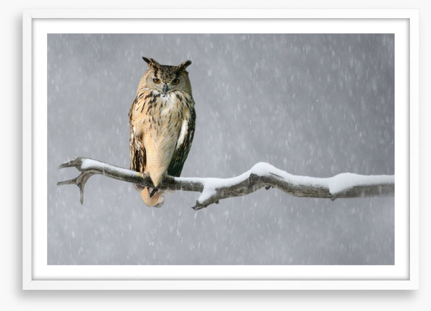 Alone in the snow