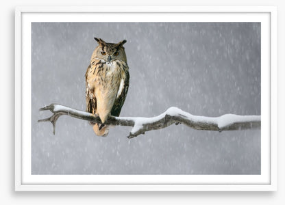 Alone in the snow