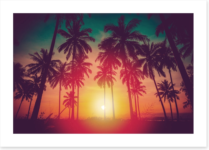Last summer
