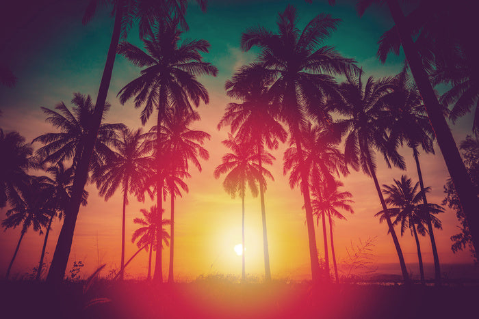 Last summer