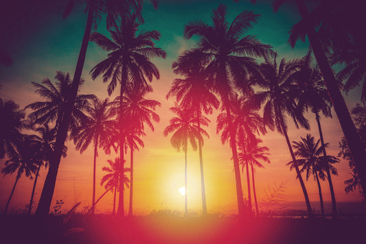 Last summer