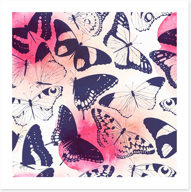 Butterflies