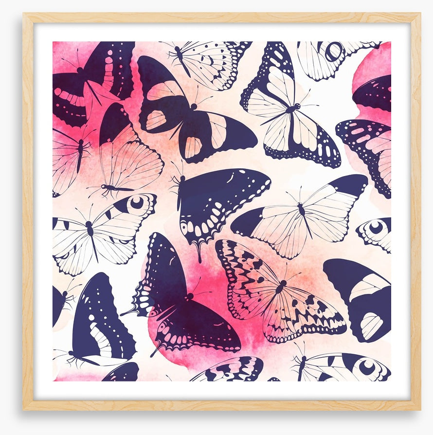 Butterflies