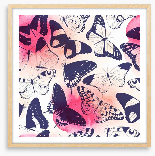 Butterflies