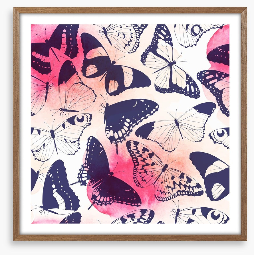 Butterflies