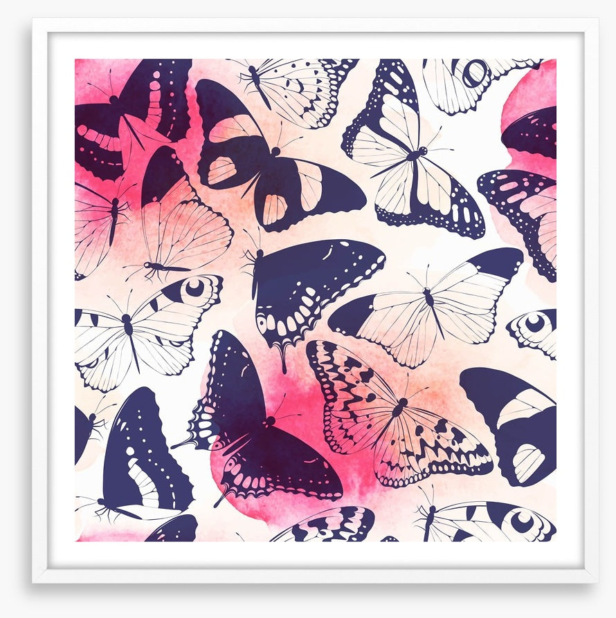 Butterflies