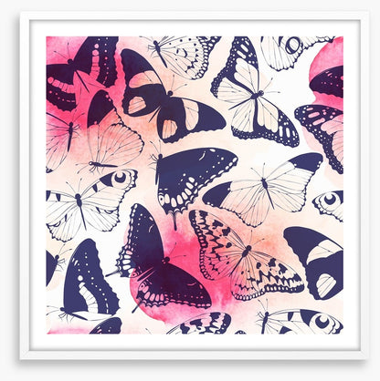 Butterflies