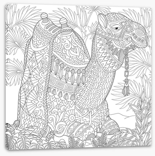 Colour me camel