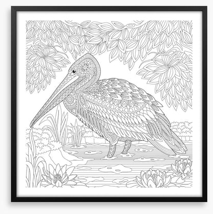 Colour me pelican
