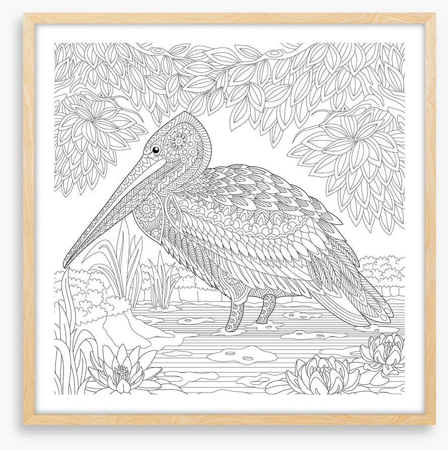 Colour me pelican