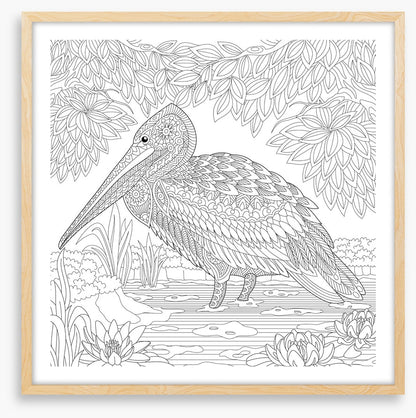 Colour me pelican
