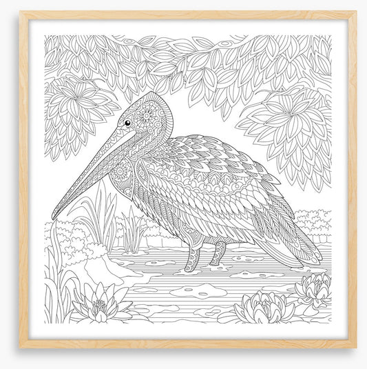 Colour me pelican