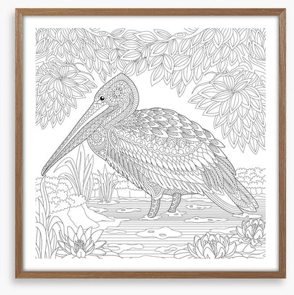 Colour me pelican