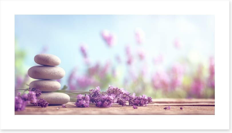 Lavender lull