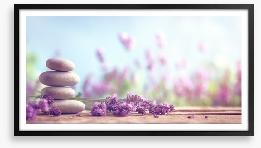 Lavender lull