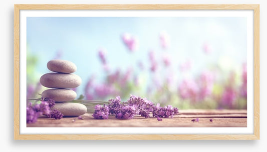 Lavender lull