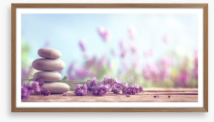 Lavender lull