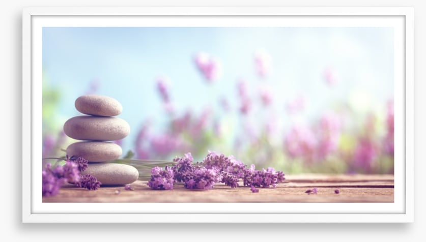 Lavender lull