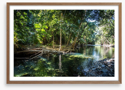 Daintree delight