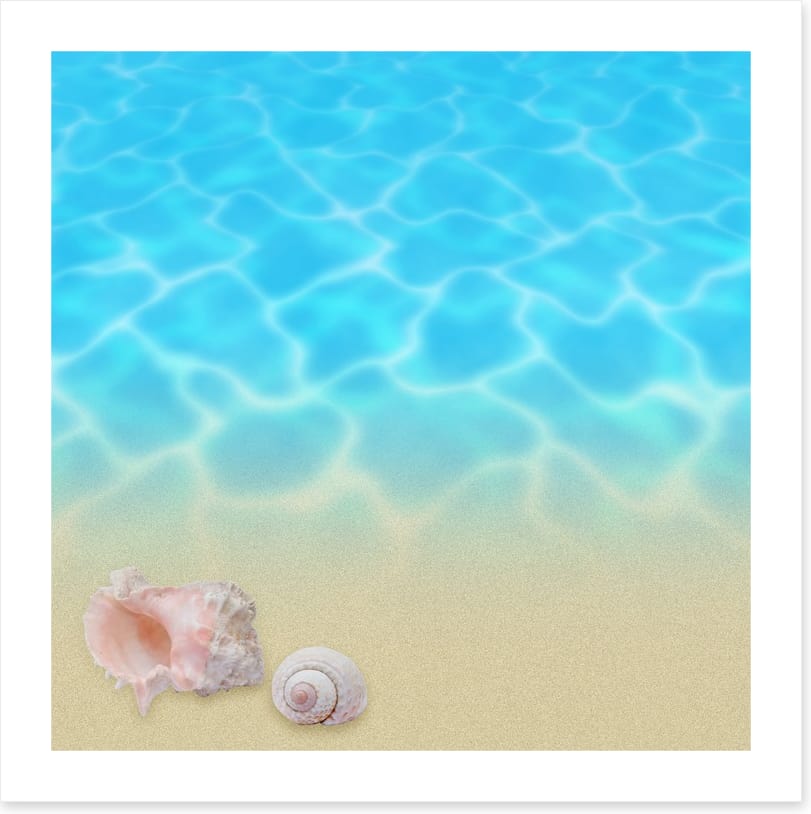 Seashell beach