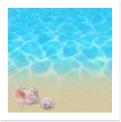 Seashell beach