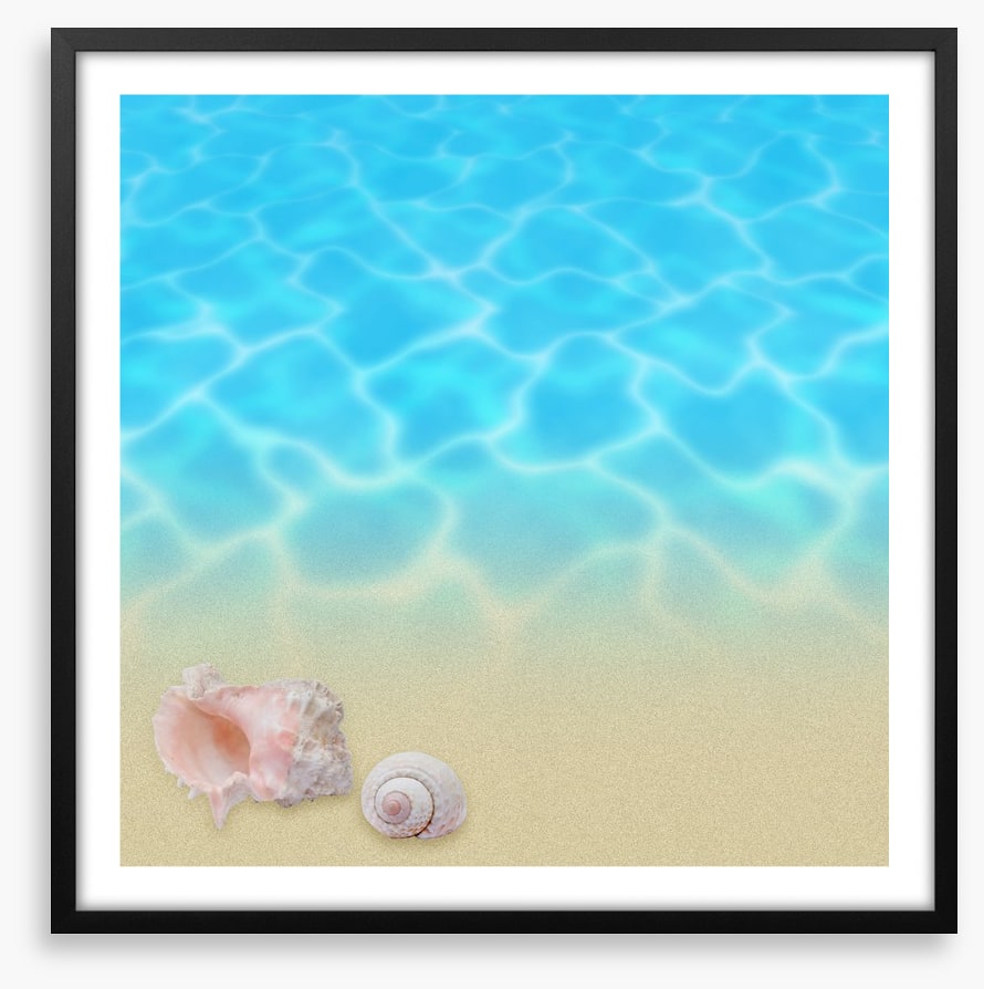 Seashell beach