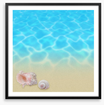 Seashell beach