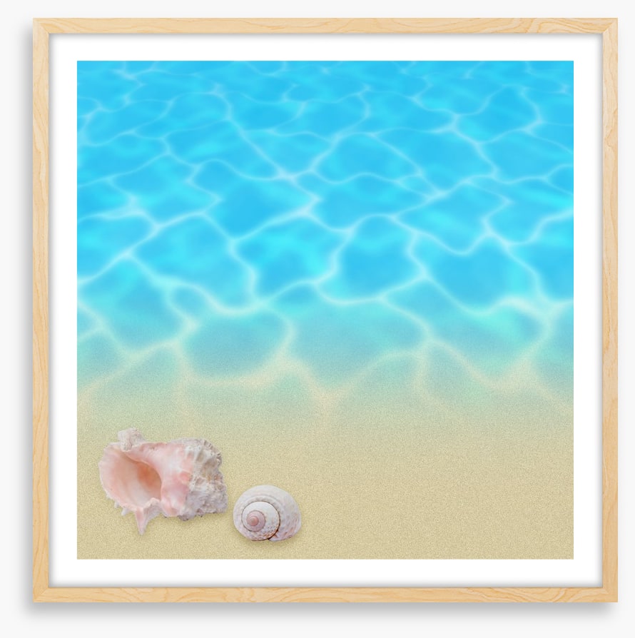 Seashell beach