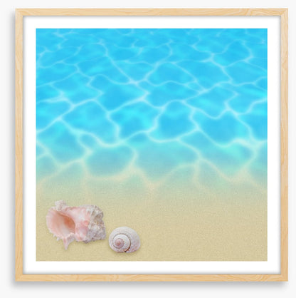 Seashell beach