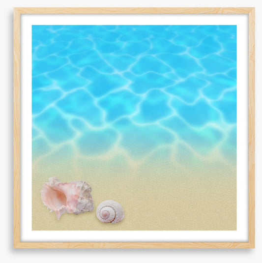 Seashell beach