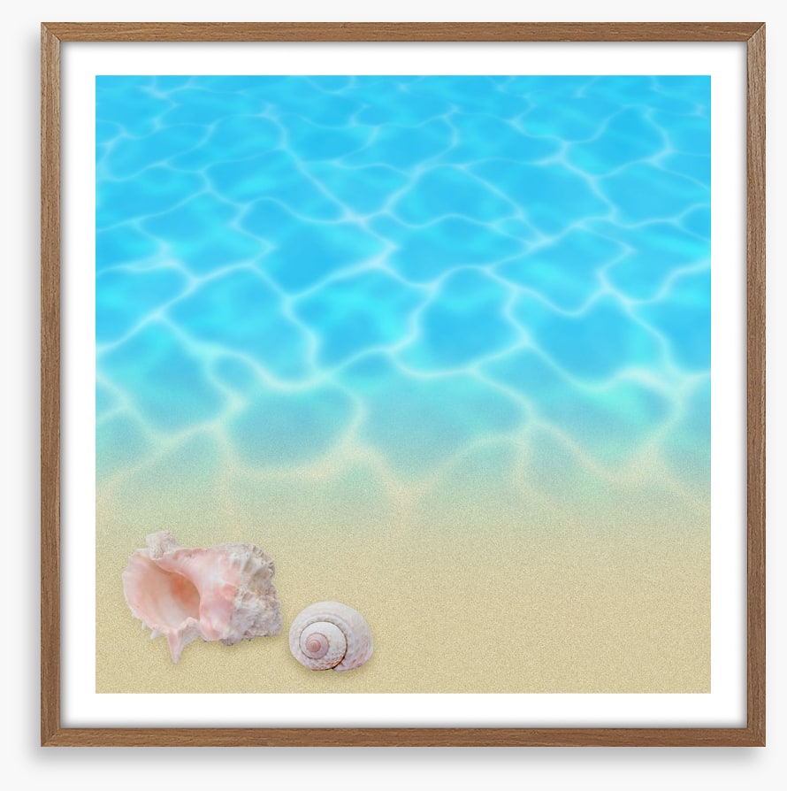 Seashell beach