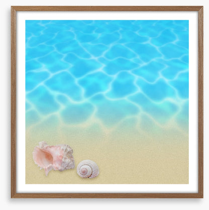 Seashell beach