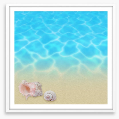 Seashell beach