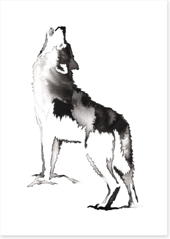 Crying wolf