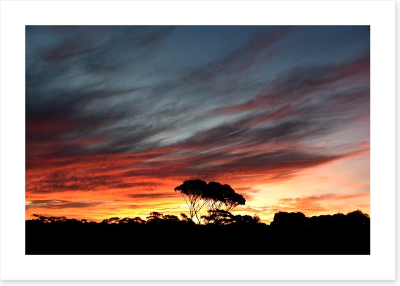 Sunset over the Australian bush