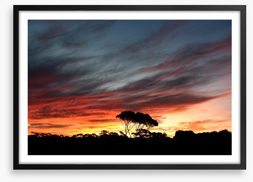 Sunset over the Australian bush
