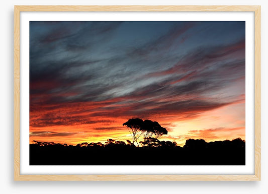 Sunset over the Australian bush