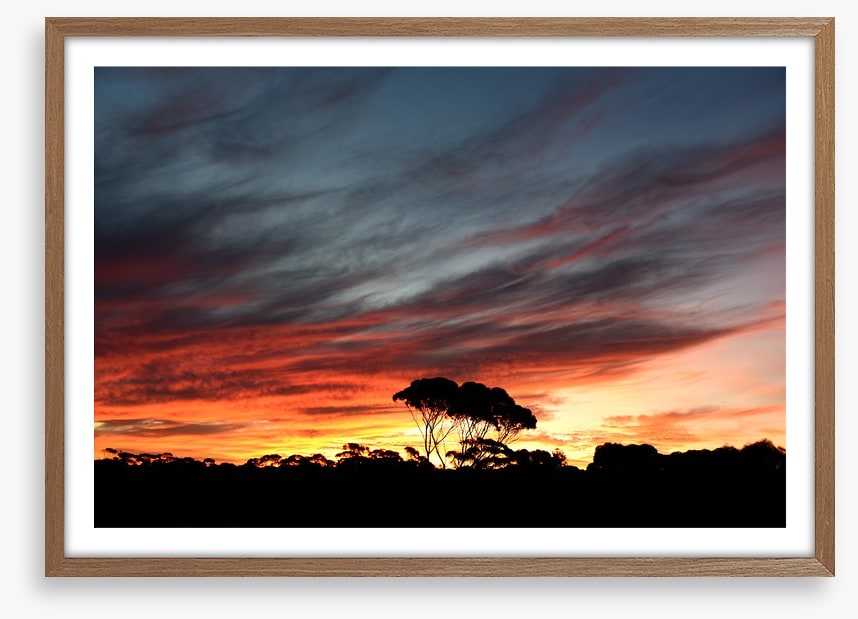Sunset over the Australian bush